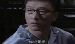 潜伏在线观看土豆,土豆平台揭秘经典谍战剧魅力