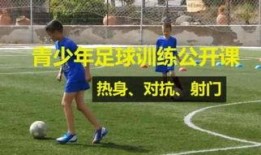 男子爆料足球视频大全,足球视频大全揭秘精彩瞬间与幕后故事