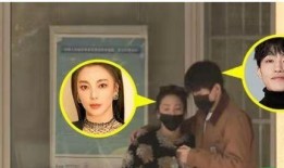 明星恋情爆料视频,甜蜜瞬间被捕捉，恋情真相大揭秘