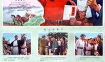 电影青松岭在线观看,重温红色记忆，共赏经典战地情怀