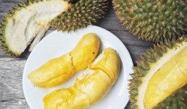 榴莲皮肤爆料视频大全集,揭秘热门游戏角色新装