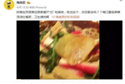 海口麻辣烫爆料视频最新,独家揭秘网红店铺背后的秘密