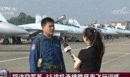 天津飞行员老婆爆料视频,揭秘飞行员生活幕后真相