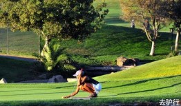 娱乐吃瓜酱50万