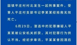 村支书真实爆料案例视频,揭开农村基层腐败内幕