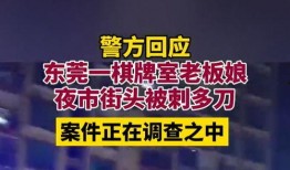 东莞老板最新爆料,企业转型背后的真实故事与挑战