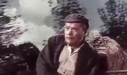 电影青松岭在线观看,重温红色记忆，共赏经典战地情怀