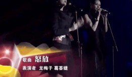 汪峰的前妻爆料视频大全,揭秘婚姻内幕与情感纠葛