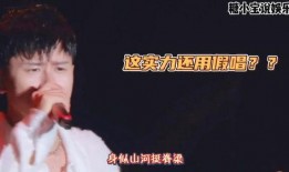 歌手身世大爆料是谁啊视频,探寻音乐背后的故事