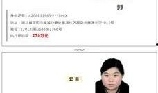 欠债不还新闻爆料,法律维权路漫漫”