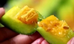 青岛吃瓜网红是谁啊,揭秘青岛网红界的“瓜王”