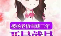 娱乐吃瓜酱搬运小说阅读,小说阅读的趣味之旅