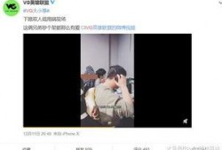 刘祉辰爆料视频在线观看,揭秘事件背后惊人真相