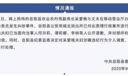 岳阳最新爆料事件视频,视频揭露惊人真相，事件引发社会关注