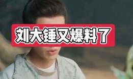 刘大锤最新爆料,娱乐圈最新爆料大起底