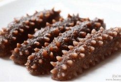 烟台海参爆料视频最新,揭秘海参行业潜规则与真相
