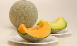 两颗牙网红吃瓜,两颗牙的瓜料大揭秘