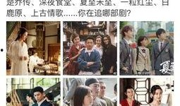 娱乐吃瓜深夜食堂,揭秘娱乐圈那些不为人知的“吃瓜”故事