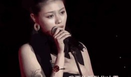 汪峰的前妻爆料视频大全,揭秘婚姻内幕与情感纠葛