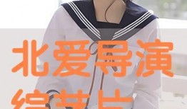 北爱在线观看,重温经典爱情故事，感受真挚情感共鸣