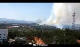 爆料常德山火视频大全,视频大全记录惊险瞬间