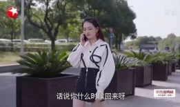 秦岚爆料王鹤棣视频,揭秘明星幕后生活点滴