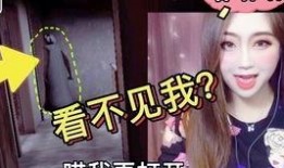 娱乐吃瓜密室逃脱小说免费阅读,娱乐吃瓜大揭秘