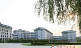 龙子湖大学爆料视频,校园风云录