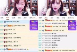 主播岩石被爆料视频,视频爆料背后的真相与争议