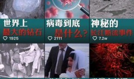 暑期前瞻直播爆料视频,精彩内容抢先看，不容错过的精彩瞬间
