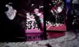 貂女在线观看,在线观看，揭秘古代美女的传奇人生