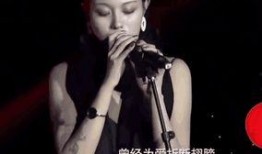 汪峰的前妻爆料视频大全,揭秘婚姻内幕与情感纠葛