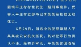 村支书真实爆料案例视频,揭开农村基层腐败内幕