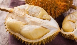 榴莲皮肤爆料视频大全集,揭秘热门游戏角色新装
