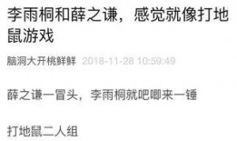 人间吃瓜日记免费阅读,揭秘娱乐圈幕后故事