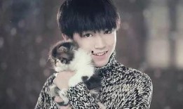 匿名爆料王俊凯视频