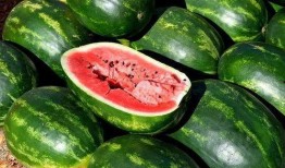 河北吃瓜免费,免费体验本土美食之旅