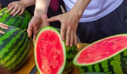 河北吃瓜免费,免费体验本土美食之旅