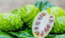 各种网红黑料吃瓜网站11run,11run网站独家爆料大汇总