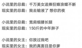 爆料笑料段子大全视频,段子大全视频，笑料连连，欢乐无限