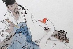 骆宾王最近爆料视频,幕后真相大起底