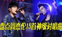 歌手身世大爆料是谁啊视频,探寻音乐背后的故事