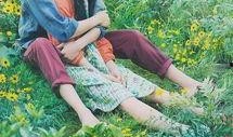 黄色大象在线观看,在线观看黄色大象的奇幻之旅