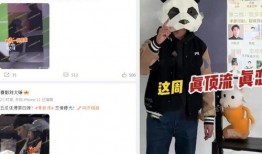 爆料人刘大锤视频全集,事件真相与幕后黑幕大起底