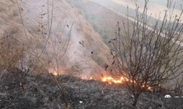 狮子山爆料视频大全下载,揭秘幕后真相，带你走进事件核心