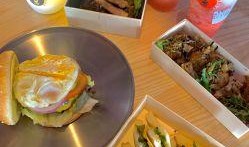 中山美食爆料视频播放,视频揭秘地道风味，一场味蕾的盛宴之旅