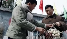 老四农人爆料视频大全集,视频大全集深度解析