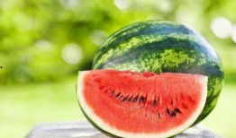 吃瓜用啥是免费的,轻松解锁娱乐圈最新动态