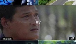 南瓜爆料视频大全,揭秘热门视频背后的精彩故事
