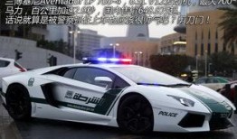 郑州警车爆料视频最新,揭秘警界内部惊人真相